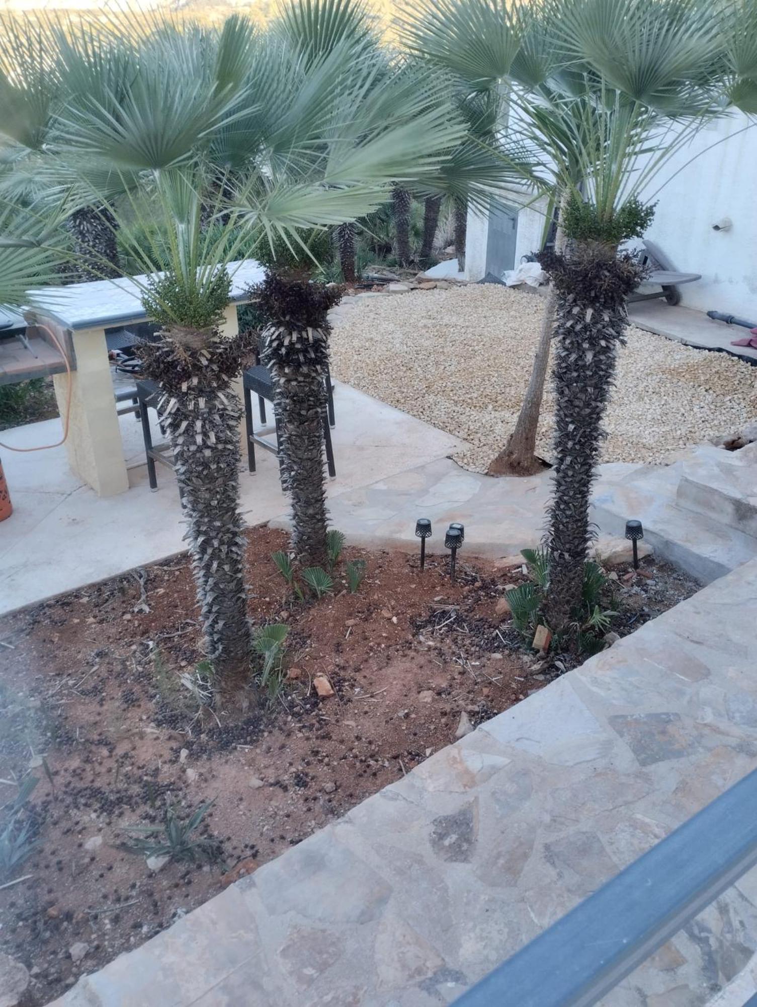 Luxe Appartement Met Tuin Benidoleig Exteriör bild